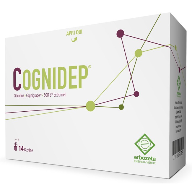 COGNIDEP 14 BUSTINE COGNIDEP 14 BUSTINE
