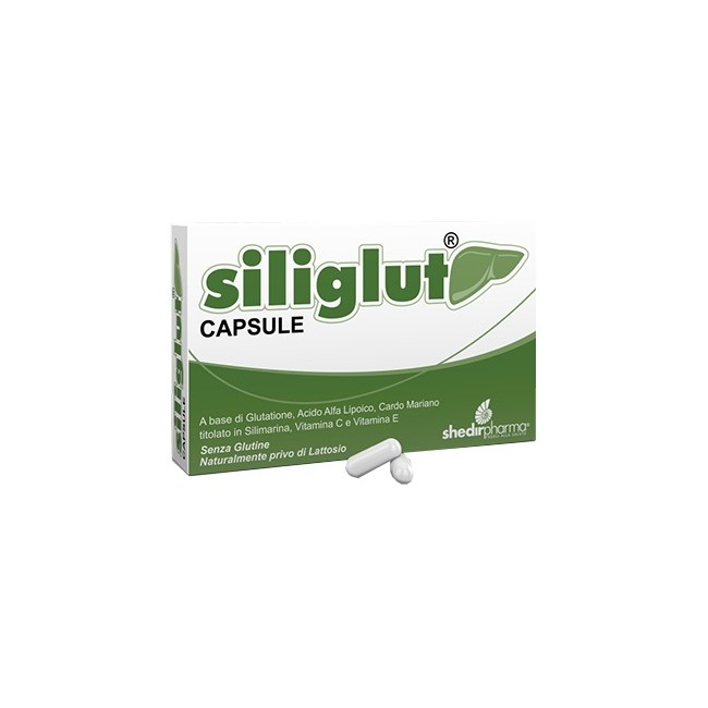 SILIGLUT 20 CAPSULE SILIGLUT 20 CAPSULE