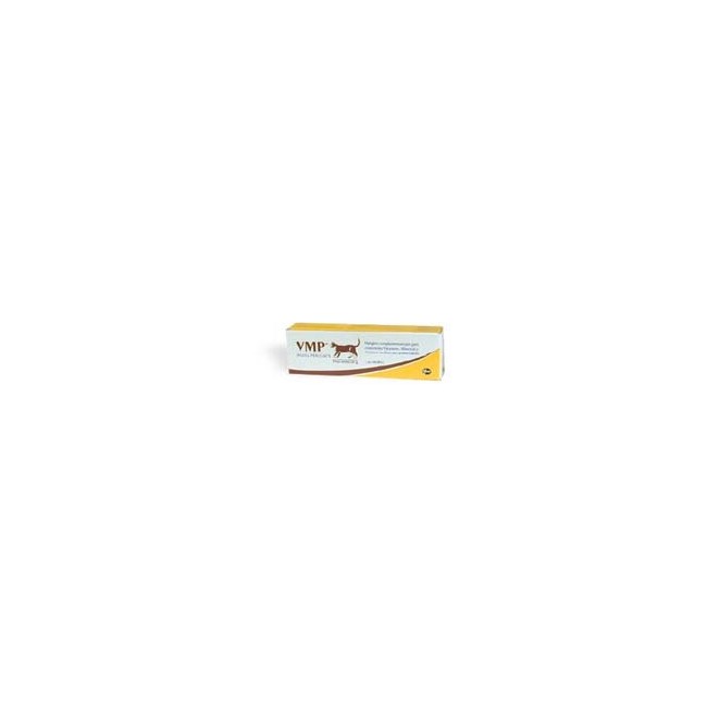 VMP PASTA PER GATTI TUBO 50 G VMP PASTA PER GATTI TUBO 50 G