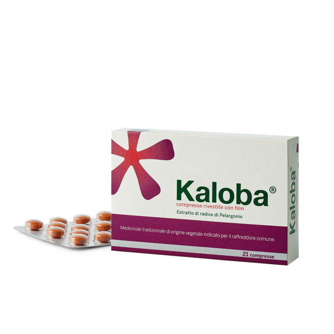Kaloba 21 Compresse Rivestite 20mg Kaloba 21 Compresse Rivestite 20mg