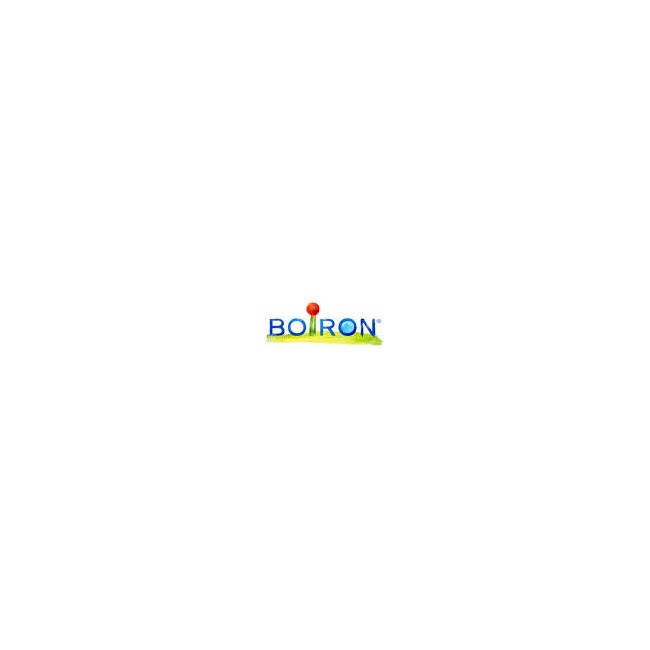 Laboratories Boiron Arnica 5Ch Granuli Laboratories Boiron Arnica 5Ch Granuli