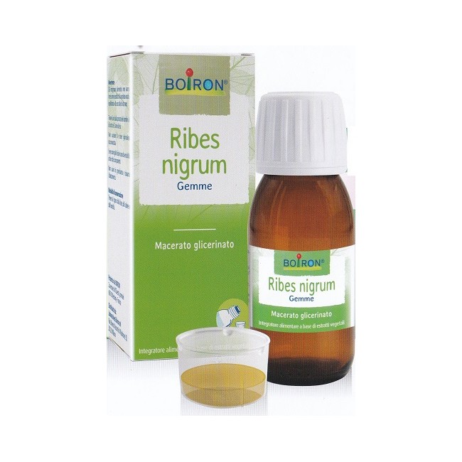 RIBES NIGRUM GEMME MACERATO GLICERICO 60 ML RIBES NIGRUM GEMME MACERATO GLICERICO 60 ML