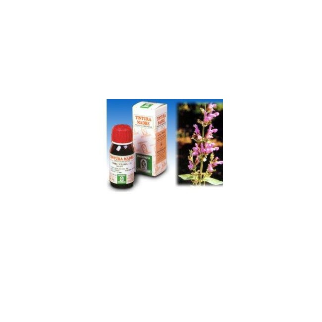 SALVIA 25 50ML TM SALVIA 25 50ML TM