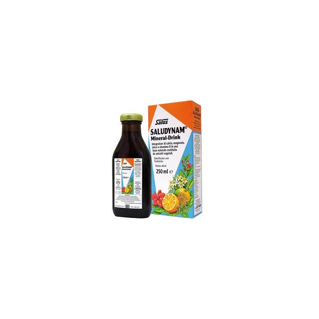 SALUDYNAM 250 ML