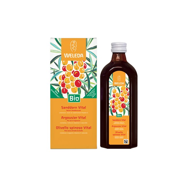 OLIVELLO SPINOSO VITAL SUCCO DI FRUTTA 250 ML OLIVELLO SPINOSO VITAL SUCCO DI FRUTTA 250 ML