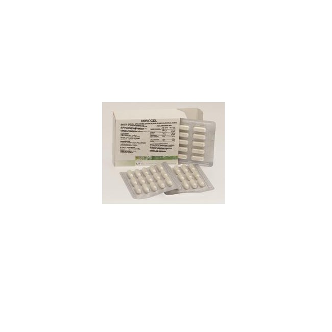 NOVOCOL 60 CAPSULE NOVOCOL 60 CAPSULE