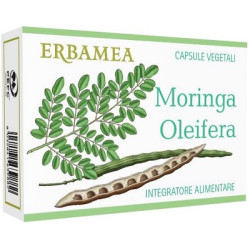 MORINGA OLEIFERA 24 CAPSULE