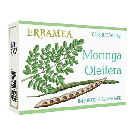 MORINGA OLEIFERA 24 CAPSULE MORINGA OLEIFERA 24 CAPSULE