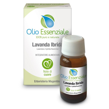 LAVANDA IBRIDA OLIO ESSENZIALE 10 ML LAVANDA IBRIDA OLIO ESSENZIALE 10 ML
