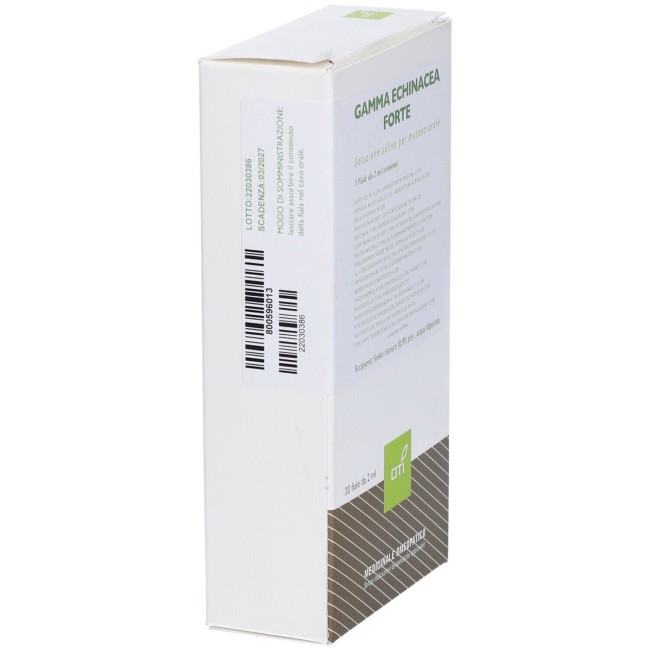 GAMMA ECHINACEA FORTE COMPOSTO 20 FIALE FISIOLOGICHE 2ML GAMMA ECHINACEA FORTE COMPOSTO 20 FIALE FISIOLOGICHE 2ML