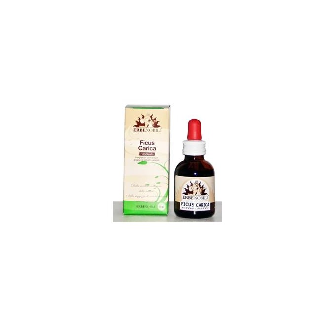 FITOBLASTO FICUS CARICA 50 ML