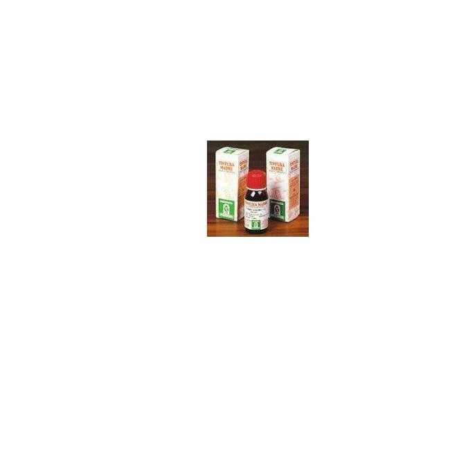 ELEUTEROCOCCO 60 50ML TM ELEUTEROCOCCO 60 50ML TM