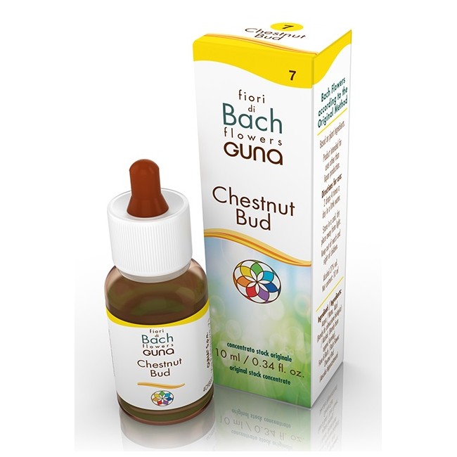 CHESTNUT BUD GOCCE 10 ML