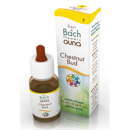 CHESTNUT BUD GOCCE 10 ML