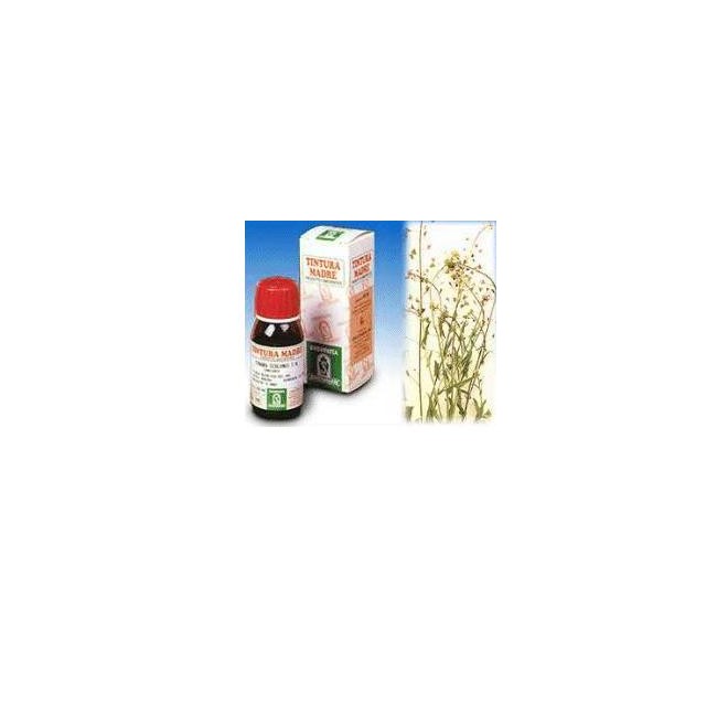 BORSA PASTORE 4 50ML TM BORSA PASTORE 4 50ML TM