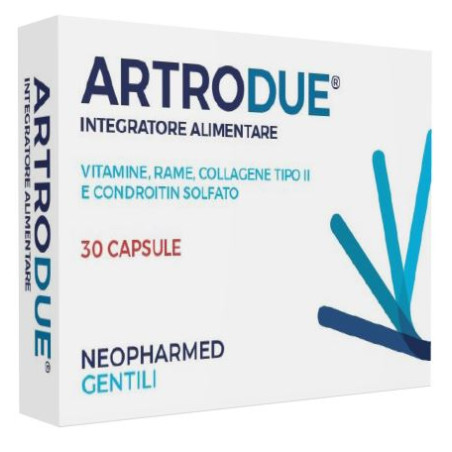 ARTRODUE 30 CAPSULE 0,2 G ARTRODUE 30 CAPSULE 0,2 G