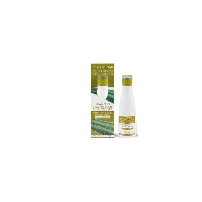 PLANTER'S ALOE VERA SHAMPO DISCIPLINANTE PER CAPELLI 200 ML PLANTER'S ALOE VERA SHAMPO DISCIPLINANTE PER CAPELLI 200 ML