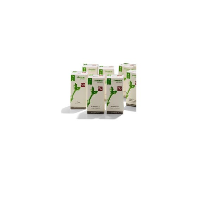 AGNOCASTO 50 ML MACERATO GLICERINATO AGNOCASTO 50 ML MACERATO GLICERINATO