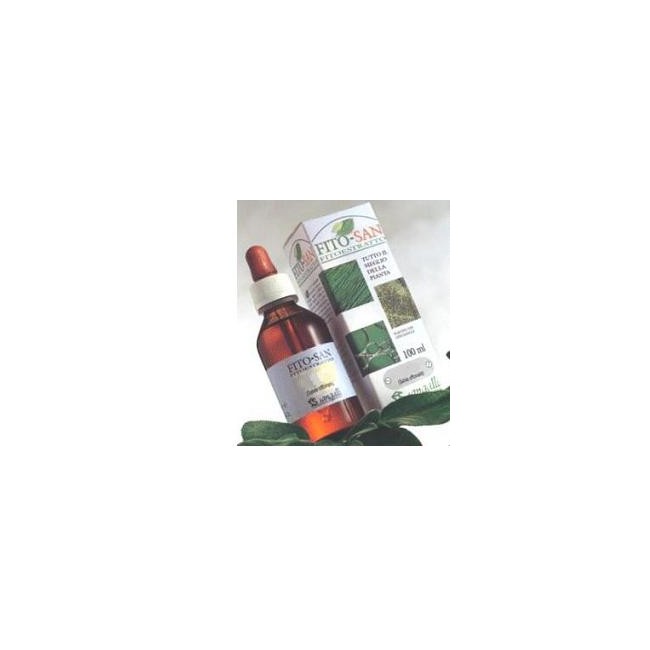 ECHINACEA RADICE TINTURA MADRE 100 ML