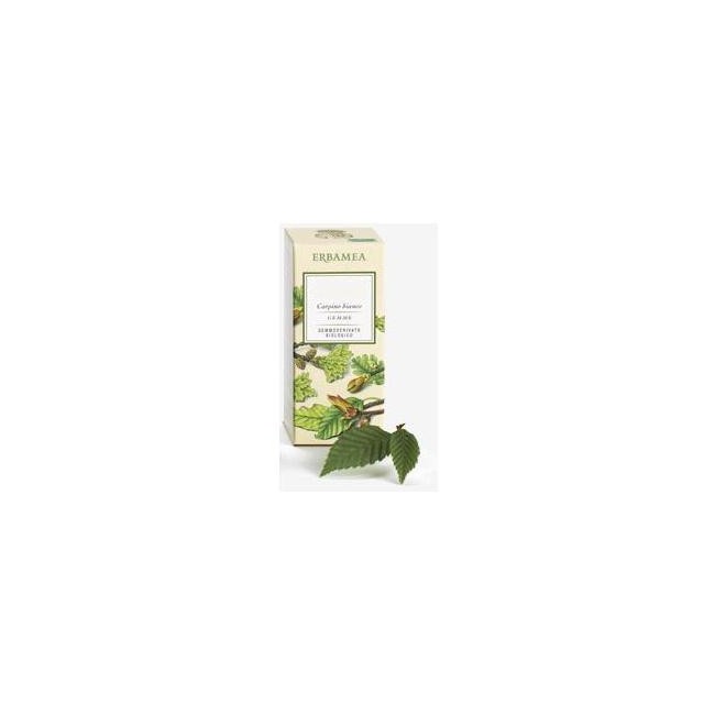 TILIA TORMENTOSA GEMME GEMMODERIVATO BIO 50 ML TILIA TORMENTOSA GEMME GEMMODERIVATO BIO 50 ML