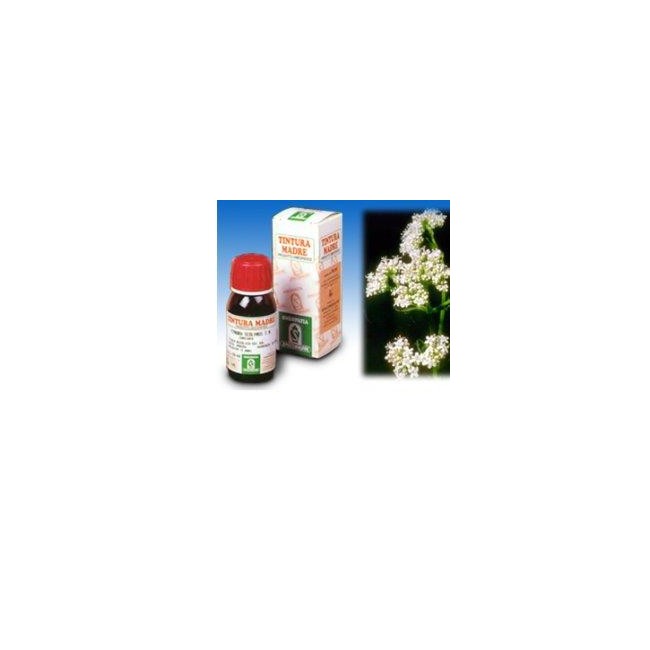 VALERIANA 36 TINTURA MADRE 50 ML VALERIANA 36 TINTURA MADRE 50 ML