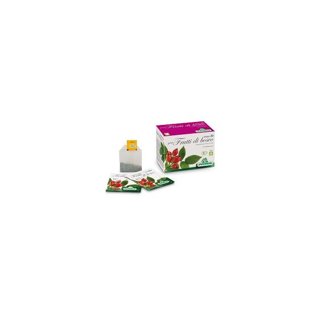INFUSO BIO FRUTTA FRUTTI DI BOSCO 20 FILTRI INFUSO BIO FRUTTA FRUTTI DI BOSCO 20 FILTRI
