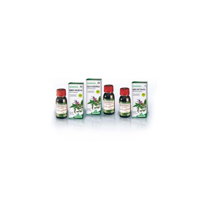 GEMMOSOL 24 FICO 50ML
