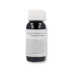 Lvs 67s Echinacea Purpurea Com