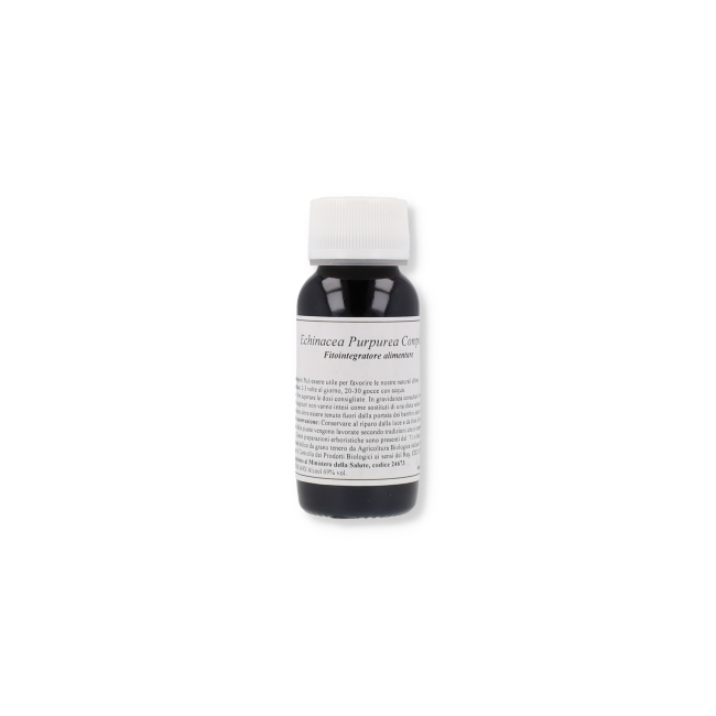 Lvs 67s Echinacea Purpurea Com Lvs 67s Echinacea Purpurea Com