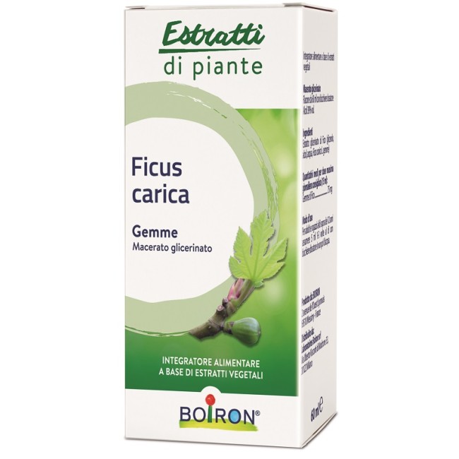 FICUS CARICA GEMME MACERATO GLICERINATO 60 ML INT FICUS CARICA GEMME MACERATO GLICERINATO 60 ML INT