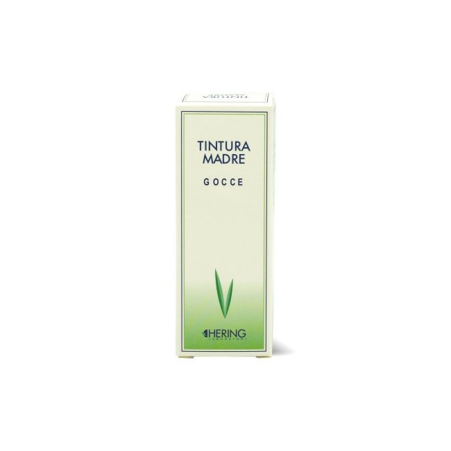Plantago Major 125 Ml Tintura Madre