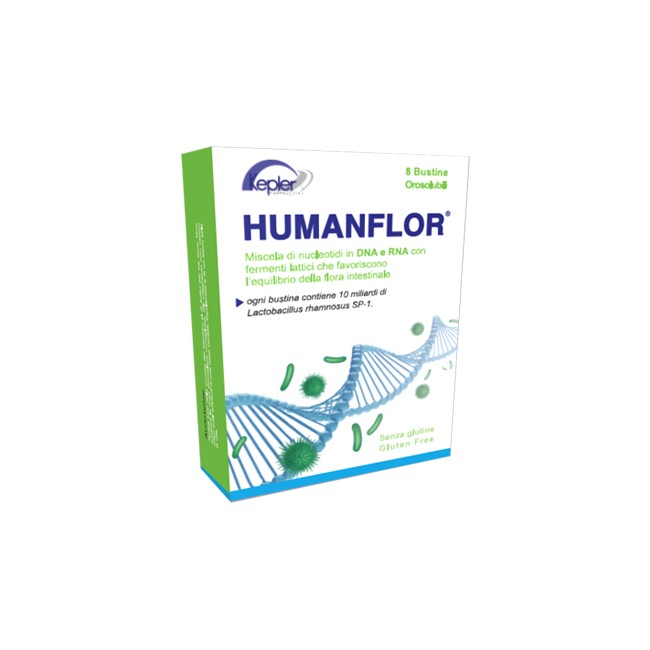 HUMANFLOR 8 BUSTINE 12 G HUMANFLOR 8 BUSTINE 12 G