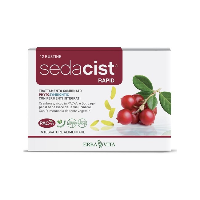 SEDACIST RAPID 6 + 6 BUSTINE SEDACIST RAPID 6 + 6 BUSTINE