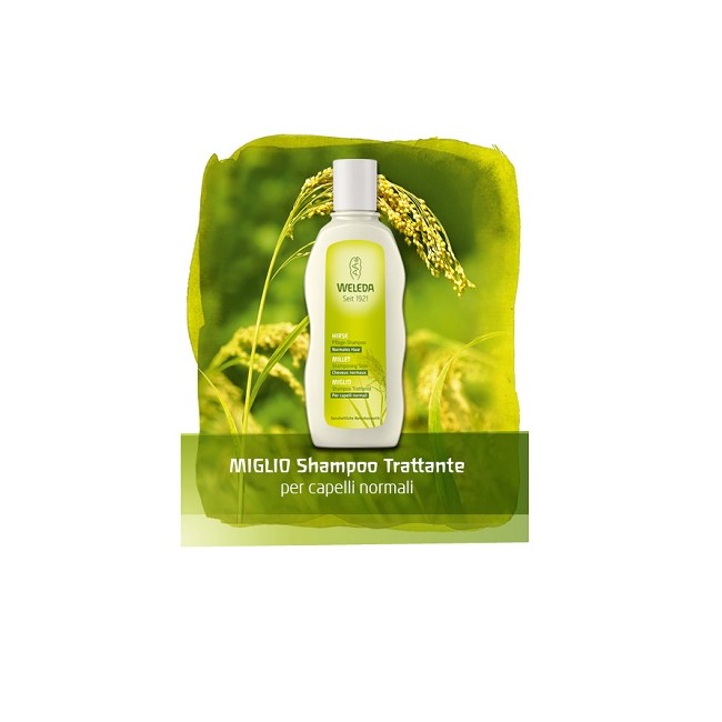 SHAMPOO MIGLIO 190 ML SHAMPOO MIGLIO 190 ML