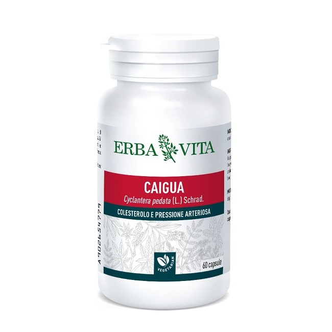 CAIGUA 60 CAPSULE 400 MG CAIGUA 60 CAPSULE 400 MG