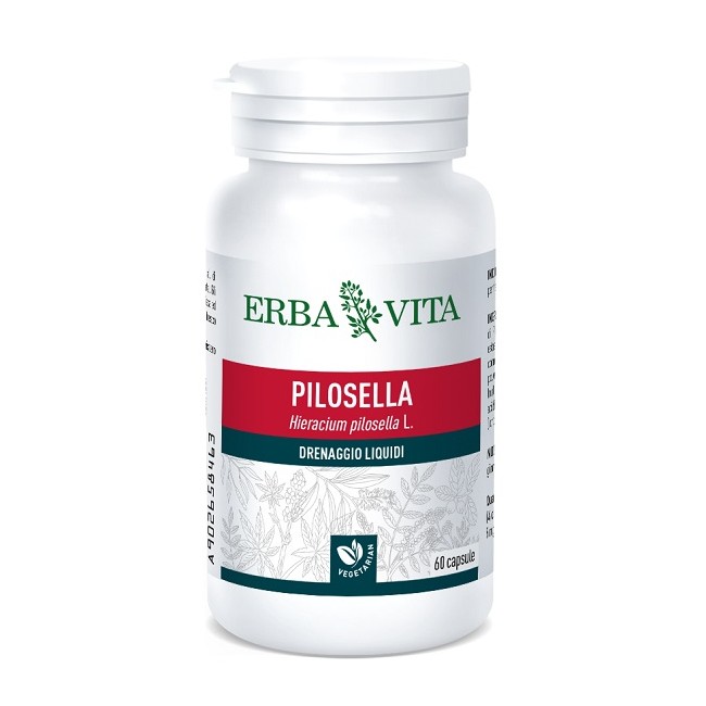 PILOSELLA 60 CAPSULE 400 MG PILOSELLA 60 CAPSULE 400 MG