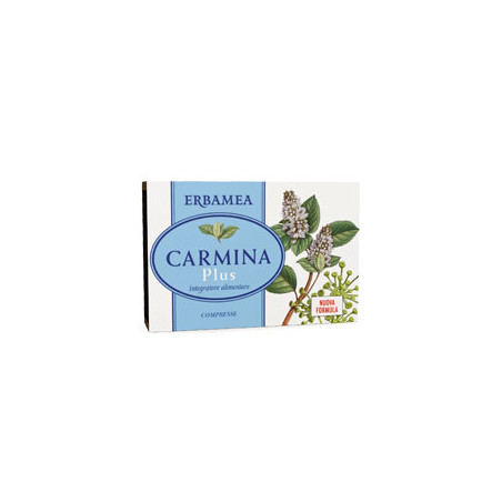 CARMINA PLUS 24 COMPRESSE 19,2 G