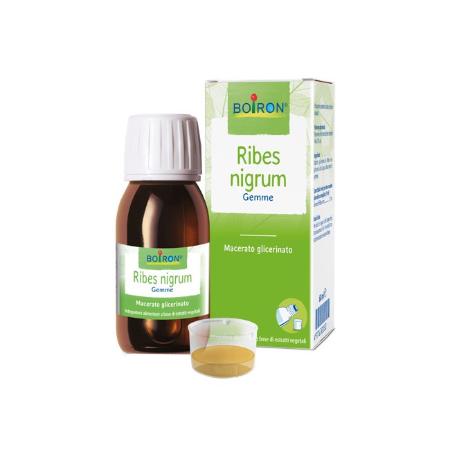 RIBES NIGRUM MACERATO GLICERICO 60 ML INT RIBES NIGRUM MACERATO GLICERICO 60 ML INT