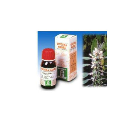 CARDIACA 16 50ML TM