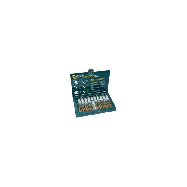 ENDOCARE TENSAGE AMPOLLE 10 FIALE 2 ML ENDOCARE TENSAGE AMPOLLE 10 FIALE 2 ML