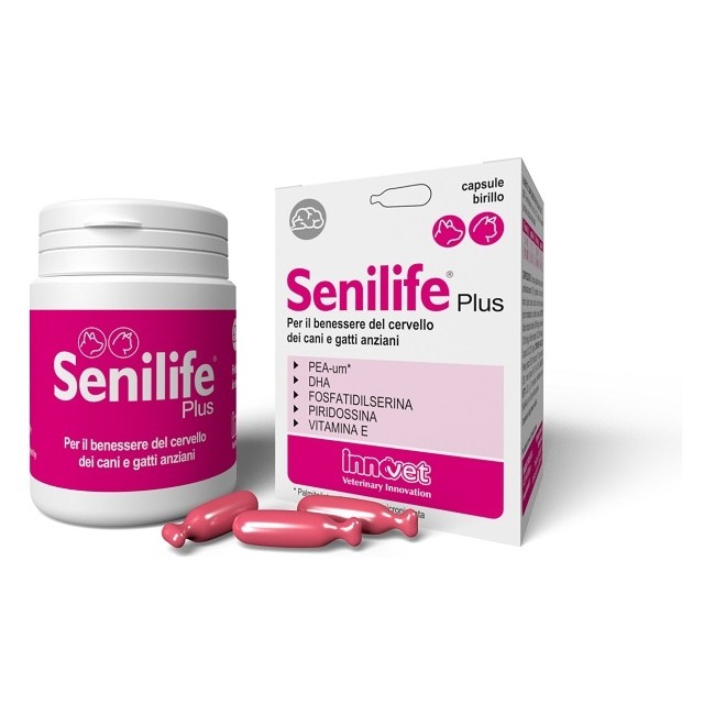 SENILIFE PLUS 30 CAPSULE SENILIFE PLUS 30 CAPSULE