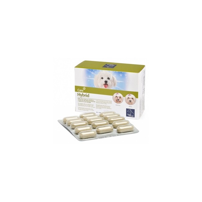 ORME NATURALI HYBRID 60 COMPRESSE 1000 MG ORME NATURALI HYBRID 60 COMPRESSE 1000 MG
