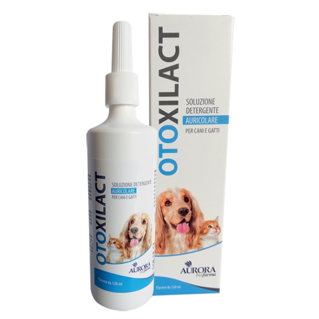 OTOXILACT DETERGENTE AURICOLARE OTOXILACT DETERGENTE AURICOLARE