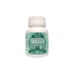 Amrijivan Forte 60 Compresse 24 G