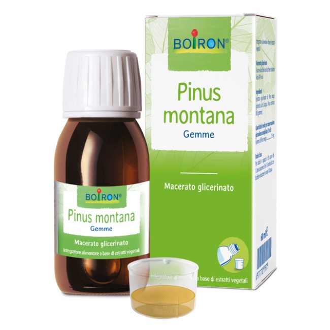 PINUS MONTANA MACERATO GLICERICO 60 ML INT PINUS MONTANA MACERATO GLICERICO 60 ML INT