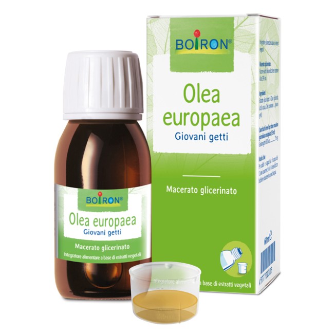 OLEA EUROPAEA MACERATO GLICERICO 60 ML INT OLEA EUROPAEA MACERATO GLICERICO 60 ML INT