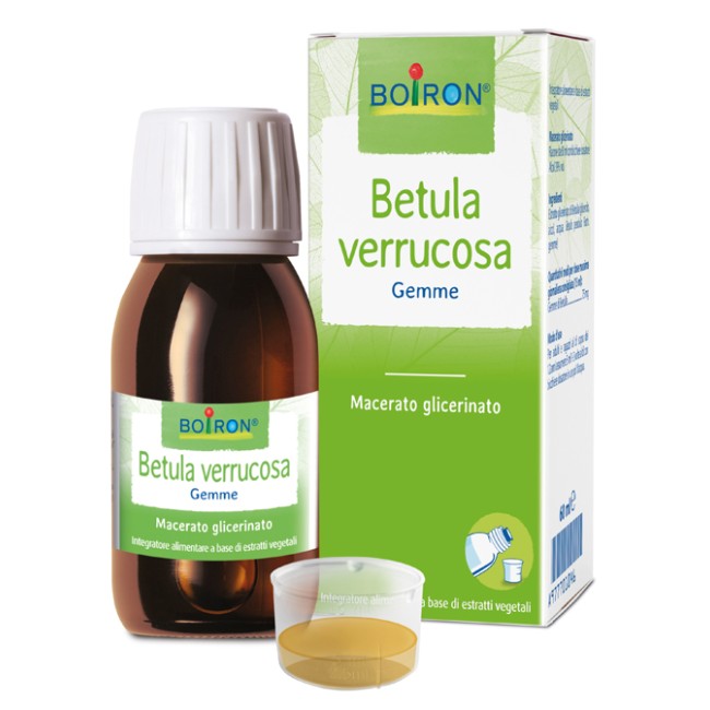 BETULA VERRUCO MACERATO GLICERICO 60 ML INT BETULA VERRUCO MACERATO GLICERICO 60 ML INT