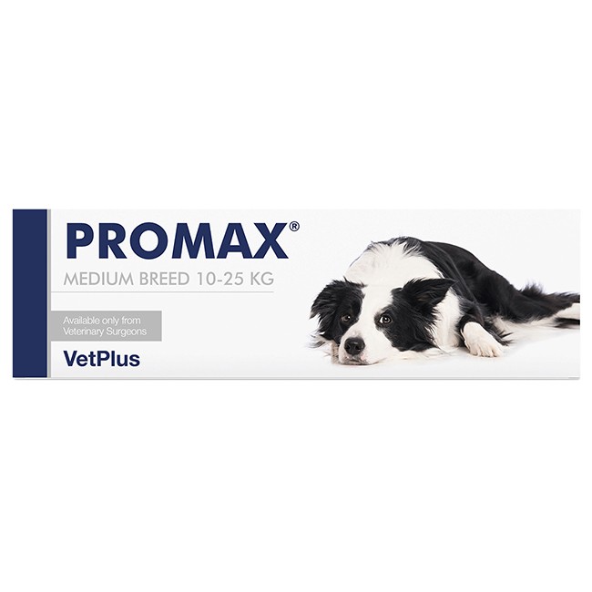 PROMAX MEDIUM BREED 18 ML PROMAX MEDIUM BREED 18 ML