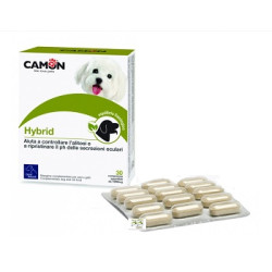 HYBRID 30 COMPRESSE