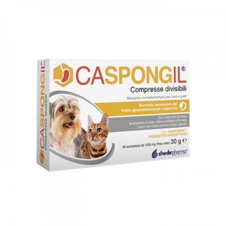 Caspongil 30 Compresse Divisibili